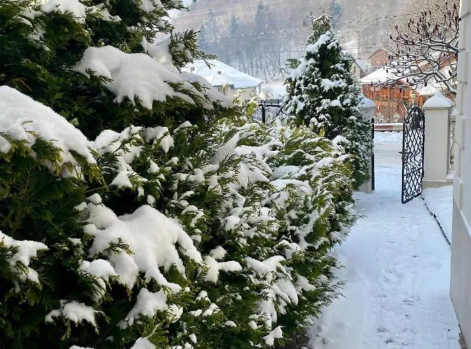 招待所 Вилла Поляна *